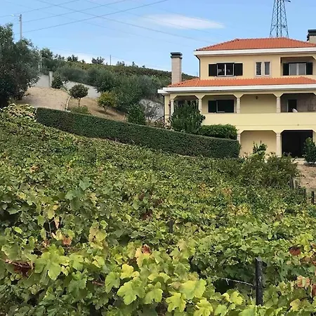 Casa Dos Copins Dom wakacyjny Lamego