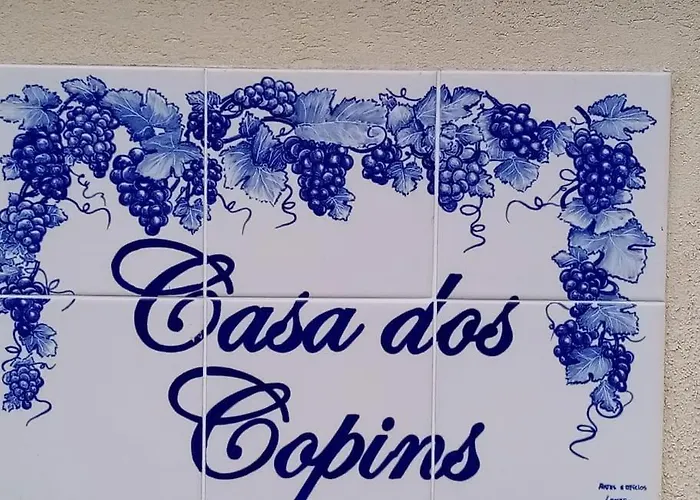 펜션 Casa Dos Copins 라메구
