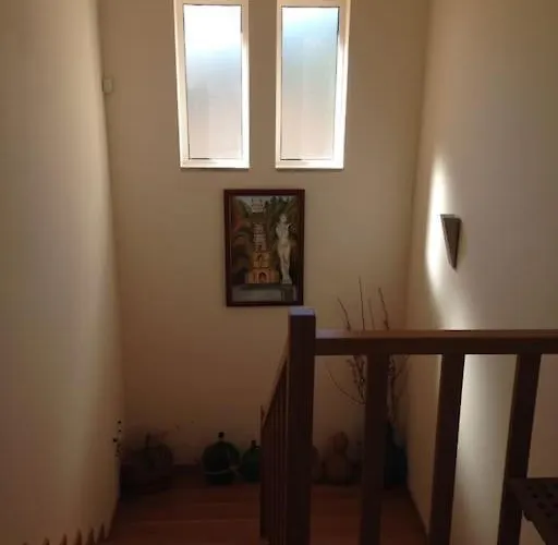 Casa Dos Copins 펜션